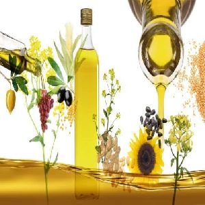 Edible Oil Testing Services