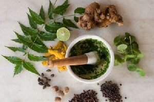 Herbal Product Testing Services