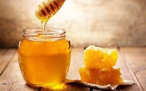 Honey Testing Services